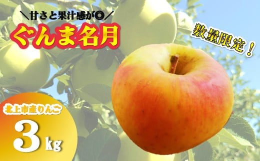 予約受付[ 北上市産 りんご ] ぐんま名月 3キロ (約8〜12玉) [ 贈答用 / 数量限定 ]10月下旬 発送開始予定