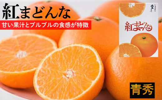 【11月下旬から発送】  紅まどんな【JAえひめ中央】 青秀　L～2Lサイズ　 （ みかん 柑橘 フルーツ まどんな みかん 愛媛 みかん 紅まどんな 蜜柑 みかん ） 594690 - 愛媛県松山市