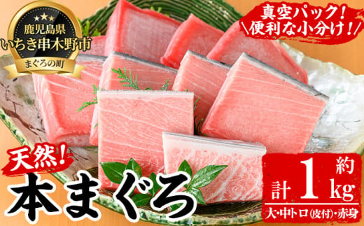 天然! 本マグロ 真空 冷凍 10人前 (約1kg:大トロ 100g×2 中トロ100g×4 赤身100g×4) たっぷり 食べ比べ セット♪ 大容量 10人前 本まぐろ のセット! 便利 な 小分け 柵 で お届け! 【海鮮まぐろ家】 【E-124H】