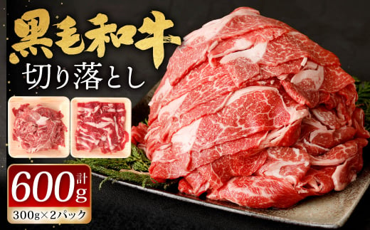 九州産 黒毛和牛 切り落とし 600g (300g×2パック) 【2024年11月発送】お肉 牛肉 国産牛 和牛 冷凍 小分け 1465036 - 福岡県北九州市