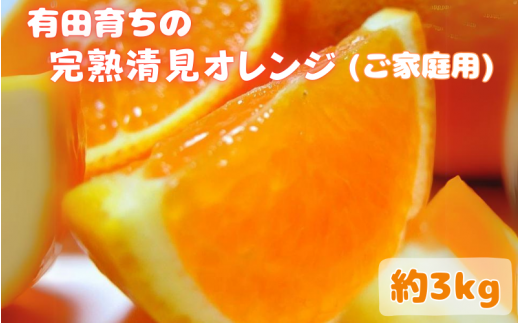 【2025年3月上旬～発送】有田育ちの完熟清見オレンジ(ご家庭用)　約3kg  ※北海道・沖縄・離島配送不可【ard016A】 1525177 - 和歌山県すさみ町