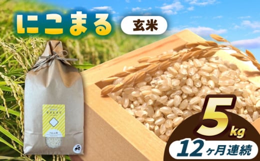 【12回定期便】にこまる　玄米　5kg　お米　ご飯　愛西市／株式会社戸倉トラクター [AECS069] 1456588 - 愛知県愛西市