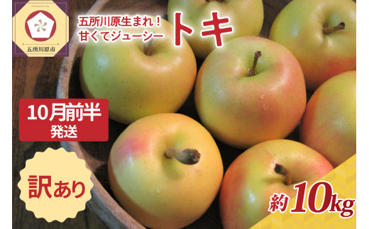 【2025年10月前半発送】訳あり トキ 約10kg 2195901 - 青森県五所川原市