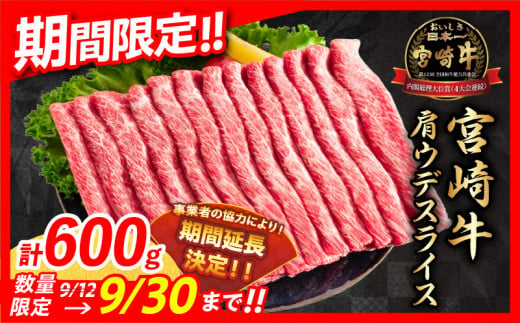 【令和6年11月配送】数量限定 期間限定 宮崎牛 肩ウデ スライス 計600g 肉 牛肉 国産 すき焼き 人気 黒毛和牛 赤身 しゃぶしゃぶ A4 A5 等級 ギフト 贈答 小分け 食品 宮崎県 送料無料_BB131-23-ZO2-11 1220743 - 宮崎県日南市