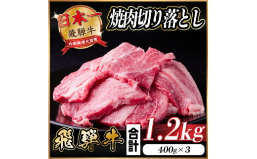 飛騨牛 焼肉 切り落とし 約1.2kg(約400g×3)訳あり＜冷蔵便＞【1543587】