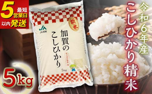 こしひかり 精米 5kg 令和6年産 コシヒカリ 9月中発送可 最短5営業日以内発送 銘柄米 お米 米 ギフト 贈り物  グルメ 食品 復興 震災 コロナ 能登半島地震復興支援 北陸新幹線 F6P-2110 1126526 - 石川県加賀市