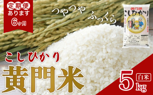 【新米先行予約 令和6年産】6カ月定期便 黄門米 コシヒカリ 白米 5kg | 茨城県産 常陸太田市 タツミ米穀 コシヒカリ こしひかり 5kg 5キロ 米 こめ コメ お米 白米 精米 お取り寄せ 贈答 人気 ランキング ごはん 贈り物 5キロ 風味 甘い 米どころ ブランド米 黄門米 水戸黄門 人気米