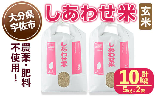 しあわせ米 玄米(計10kg・5kg×2袋) お米 10キロ 常温 常温保存 【101000601】【宇佐本百姓】 1462995 - 大分県宇佐市