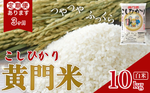 新米発送 令和6年産】 2週間以内発送 新米 黄門米 コシヒカリ 白米 5kg | 茨城県産 常陸太田市 タツミ米穀 コシヒカリ こしひかり 5kg  5キロ 米 こめ コメ お米 白米 精米 お取り寄せ 贈答 人気 ランキング ごはん 贈り物 5キロ 風味 甘い 米どころ