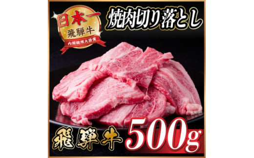 飛騨牛 焼肉 切り落とし 約500g　訳あり＜冷蔵便＞【1543368】 1464441 - 岐阜県羽島市