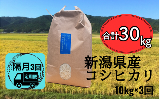 【先行予約】新米〈隔月3回定期便〉 令和6年産 五泉産 コシヒカリ 精米 10kg (10kg×1袋) 新潟県 五泉市 株式会社蛇場農産（2024年10月上旬以降順次発送） 1463157 - 新潟県五泉市