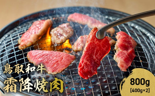 鳥取和牛 霜降焼肉 800g ( 400g × 2 ) 国産 ブランド牛 牛肉 霜降り 焼き肉 焼肉 和牛 黒毛和牛 肉 ロース バラ BBQ 冷凍 鳥取県 倉吉市 KR1479 1464025 - 鳥取県倉吉市