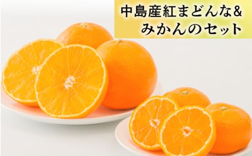 【11月下旬から発送】  「中島産紅まどんな」と「中島みかん」のセット （ 紅まどんな 柑橘 フルーツ まどんな みかん 愛媛 みかん 紅まどんな 蜜柑 紅まどんな ） 588831 - 愛媛県松山市