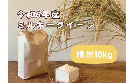 【令和6年産】栃木市岩舟町産ミルキークイーン10kg【精米】米　新米　ミルキー　農家直送　産地直送　 700823 - 栃木県栃木市