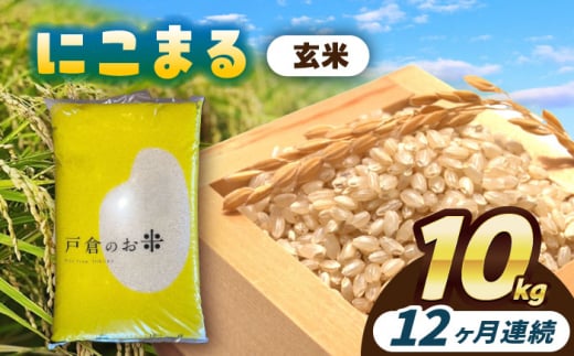 【12回定期便】にこまる　玄米　10kg　お米　ご飯　愛西市／株式会社戸倉トラクター [AECS072] 1456591 - 愛知県愛西市