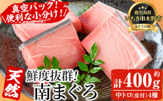 天然! 最高級 南マグロ 真空 冷凍 皮付 の 中トロ 100g×4 合計約400g を 便利 な 小分け 柵 でお届け! 希少 な ミナミマグロ の 中とろ! 南まぐろ 刺身 小分け [海鮮まぐろ家] [B-349H]