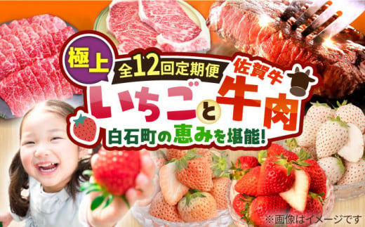 【先行予約】【12回定期便】産地直送！白石町産 いちごと牛肉の極上定期便 [IZZ015] 283741 - 佐賀県白石町