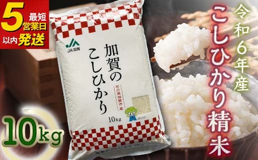 こしひかり 精米 10kg 令和6年産 コシヒカリ 9月中発送可 最短5営業日以内発送  銘柄米 お米 米 ギフト 贈り物  グルメ 食品 復興 震災 コロナ 能登半島地震復興支援 北陸新幹線 F6P-2111 1126527 - 石川県加賀市