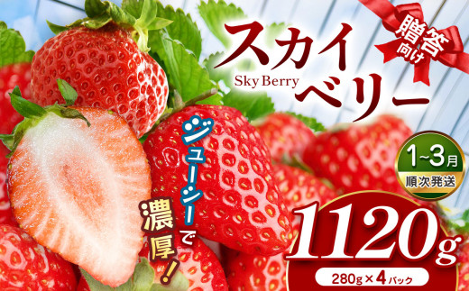 スカイベリー（贈答向け）【3月発送】280ｇ×2ｐ×2箱 真岡市 栃木県 送料無料