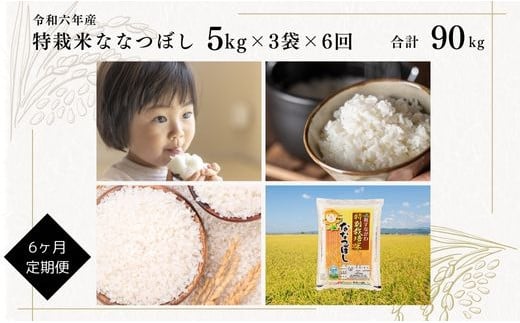 【定期便】【令和6年産】北海道産『特別栽培米ななつぼし 15kg×6ヶ月』  日経トレンディ米のヒット甲子園 大賞受賞 5kg×3袋 毎月1回・計6回お届け 計90kg 定期便 単一原料米 特栽米 米 お米 白米 精米 こめ おこめ ごはん ご飯 送料無料 北海道 奈井江町