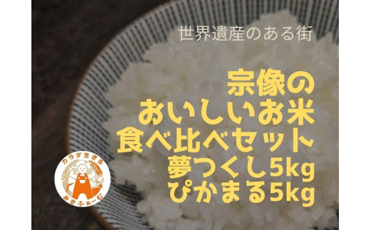 むなかた産 米 夢つくし ぴかまる 食べ比べ 各5kg 計10kg 【みきふぁーむ】_HA1545 1455119 - 福岡県宗像市