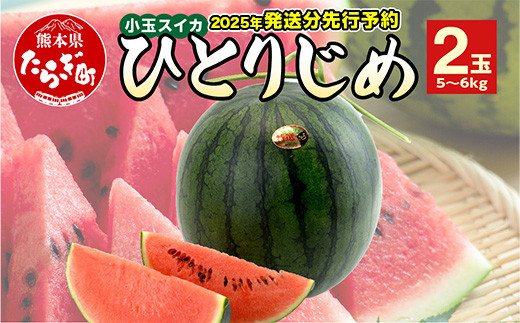 【2025年5月上旬～発送 先行予約】小玉スイカ ひとりじめ (2玉)  令和7年 夏 スイカ 食べきりサイズ 西瓜 フルーツ 果物 旬の味覚 すいか 甘い 産地直送 008-0663 1461694 - 熊本県多良木町