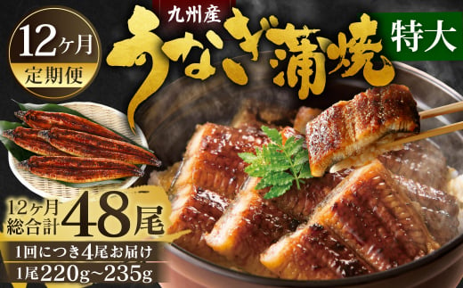 【12ヶ月定期便】九州産 うなぎ蒲焼 特大4尾 (1尾あたり220～235g)  合計48尾 たれ 山椒 鰻 ウナギ 蒲焼き 国産 冷凍 鹿児島、宮崎、熊本等産うなぎ原料使用 1464142 - 福岡県北九州市