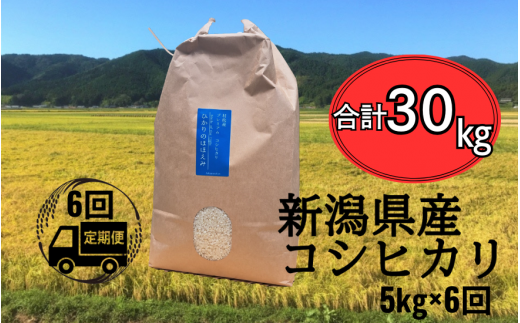 【先行予約】新米〈6回定期便〉 令和6年産 五泉産 コシヒカリ 精米 5kg (5kg×1袋) 新潟県 五泉市 株式会社蛇場農産（2024年10月上旬以降順次発送） 1463151 - 新潟県五泉市