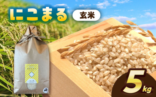 【11月発送】＼選べる配送月／にこまる　玄米　5kg　お米　ご飯　愛西市／株式会社戸倉トラクター [AECS064-11] 1461444 - 愛知県愛西市