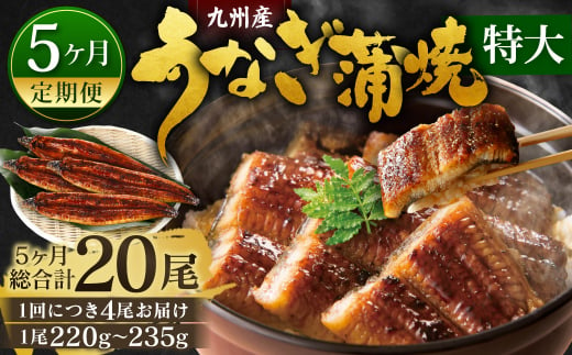 【5ヶ月定期便】九州産 うなぎ蒲焼 特大4尾 (1尾あたり220～235g)  合計20尾 たれ 山椒 鰻 ウナギ 蒲焼き 国産 冷凍 鹿児島、宮崎、熊本等産うなぎ原料使用 1464141 - 福岡県北九州市