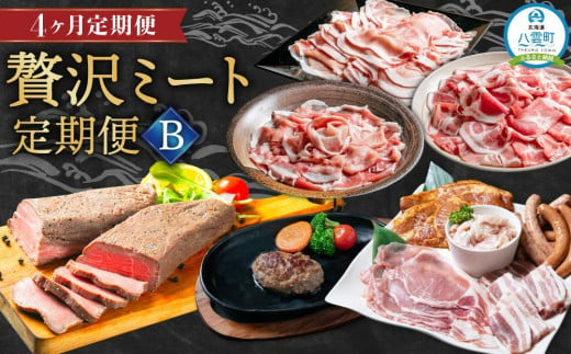 【定期便】贅沢ミート定期便B【 豚肉しゃぶしゃぶ ローストビーフ バーベキューセット ハンバーグ 牛肉 豚肉 肉 肉セット 肉加工品 定期便 食品 グルメ お取り寄せ お取り寄せグルメ 人気 おすすめ 送料無料 八雲町 北海道 】 1529451 - 北海道八雲町