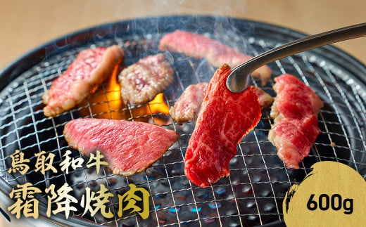 鳥取和牛 霜降焼肉 600g 国産 ブランド牛 牛肉 霜降り 焼き肉 焼肉 和牛 黒毛和牛 肉 ロース バラ BBQ 冷凍 鳥取県 倉吉市 KR1478 1464024 - 鳥取県倉吉市