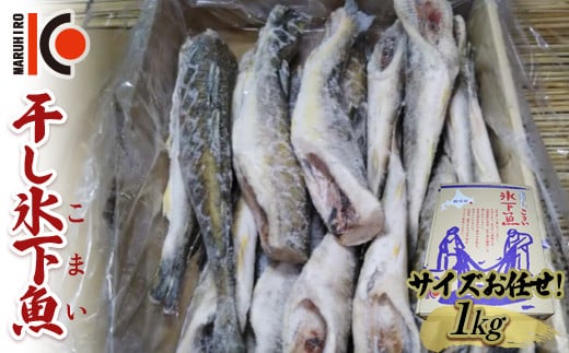 干し氷下魚(サイズお任せ)1kg こまい コマイ 魚 白身魚 おつまみ 肴 おかず F4F-5165 1471906 - 北海道釧路市