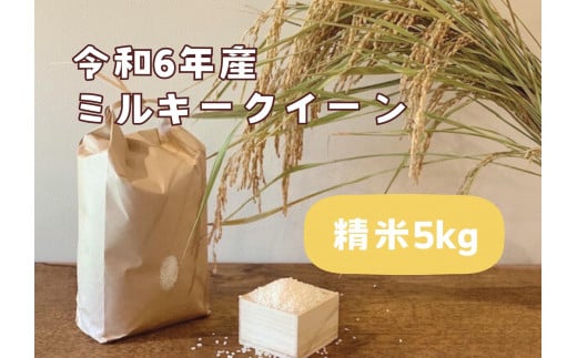 【令和6年産】栃木市岩舟町産ミルキークイーン5kg【精米】米　新米　ミルキー　農家直送　産地直送 700822 - 栃木県栃木市