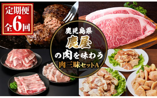 8001 【定期便６回】鹿屋の肉を味わう 肉三昧セットＡ【定期便 お楽しみ 黒豚 スライス 味噌漬け 鶏肉 南蛮 味付き肉 黒毛和牛 サーロイン 黒牛 ハンバーグ 豚肉】 1506075 - 鹿児島県鹿屋市