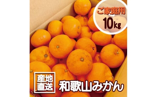 【訳あり】和歌山みかん 約9.5kg+補償分約500g サイズ混合 11月より順次発送　訳ありみかん 1463025 - 和歌山県海南市