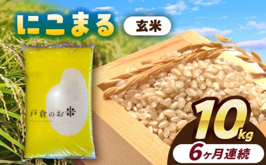 【6回定期便】にこまる　玄米　10kg　お米　ご飯　愛西市／株式会社戸倉トラクター [AECS071] 1456590 - 愛知県愛西市