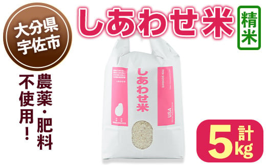 しあわせ米 精米(計5kg) お米 白米 5キロ 常温 常温保存 【101000501】【宇佐本百姓】 1462994 - 大分県宇佐市