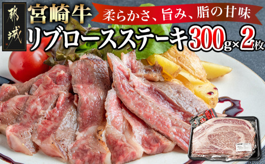 宮崎牛リブロースステーキ300g×2枚_17-2502_(都城市) 都城産 宮崎牛 牛肉 リブロース ステーキ 霜降り 塩こしょう ステーキソース付 300g×2枚 600g