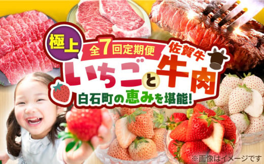 [先行予約][7回定期便]産地直送!白石町産 いちごと牛肉の極上定期便 