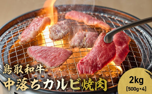 鳥取和牛 中落ちカルビ焼肉 2kg ( 500g × 4 ) 国産 ブランド牛 牛肉 焼き肉 焼肉 和牛 黒毛和牛 肉 カルビ バラ BBQ 冷凍 鳥取県 倉吉市 KR1490 1464037 - 鳥取県倉吉市