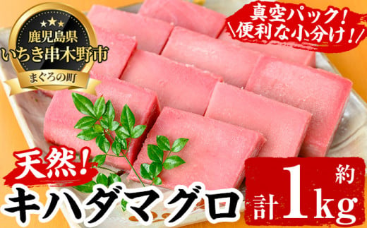 天然! キハダマグロ 真空 冷凍 100g×7-10柵 合計約1kg を 便利 な 小分け 柵 でお届け! まぐろ 刺身 きはだまぐろ 赤身[海鮮まぐろ家] [B-347H]