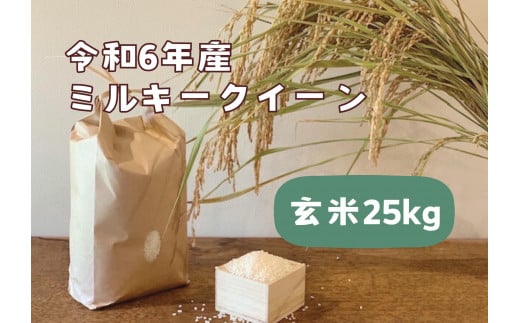 【令和6年産】栃木市岩舟町産ミルキークイーン25kg【玄米】　米　新米　玄米　ミルキー　農家直送　産地直送 701541 - 栃木県栃木市