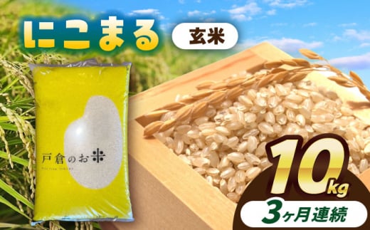 【3回定期便】にこまる　玄米　10kg　お米　ご飯　愛西市／株式会社戸倉トラクター [AECS070] 1456589 - 愛知県愛西市