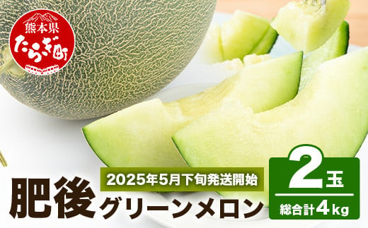 【2025年5月下旬～順次発送予定】先行予約 熊本県産 肥後 グリーンメロン 【大玉】 2玉／合計4kg以上【 ご予約 予約 令和7年 メロン 果物 フルーツ 旬 甘い デザート くだもの 大玉 4kg 熊本 多良木 産地直送 】 008-0662-2025 1461664 - 熊本県多良木町