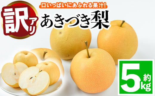 ＜訳あり・不揃い＞あきづき梨(約5kg)梨 なし あきづき フルーツ 果物 くだもの 果実【109801100】【高橋　憲明】 1464043 - 大分県宇佐市