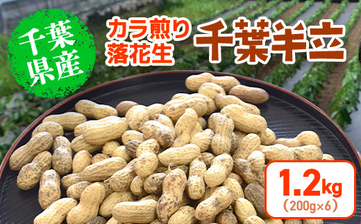 【2024年12月発送開始】 千葉県産 カラ煎り落花生 千葉半立 1.2kg（200g×6） SMF005 1459182 - 千葉県山武市