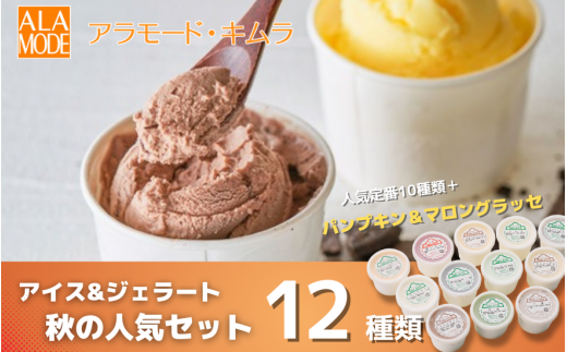 【秋の人気セット】 アイス＆ジェラート 12個×146ml 食べ比べ 詰め合わせ セット スイーツ 新潟県 五泉市 ㈲アラモード・キムラ 620706 - 新潟県五泉市