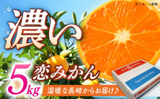 [先行予約]長崎恋みかん 5kg [11月中旬〜12月中旬お届け] 長崎県/長崎県農協直販 [42ZZAA025] みかん ミカン 柑橘 果物 くだもの フルーツ 先行 予約 ブランド 長崎 長崎県