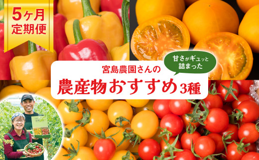 【先行予約】 【定期便5回】 八代市産 農産物おすすめ定期便 宮島農園 ミニトマト トマト パプリカ 野菜 農産物 おすすめ 定期便 熊本県 八代市 【2025年12月上旬より順次発送】